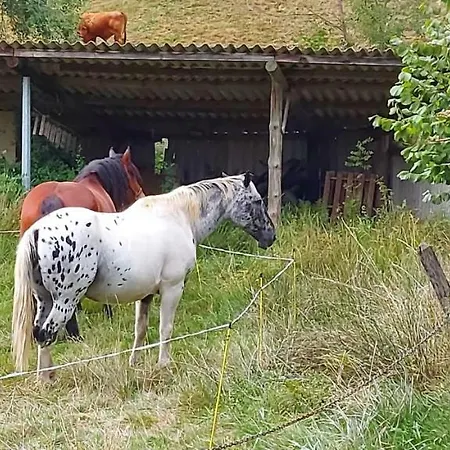Maison Avec Vue, Grand Terrain Clos, Bain Nordique Prive Toute L'Annee, Animaux Acceptes بيت للعطل