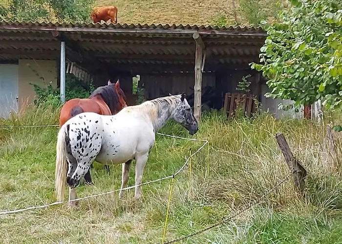 Maison au calme avec spa, vue et espace Hébergement de vacances